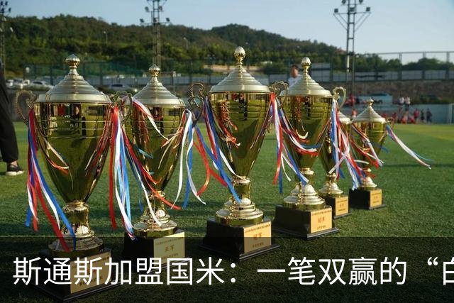 斯通斯加盟国米：一笔双赢的“白菜价”操作？